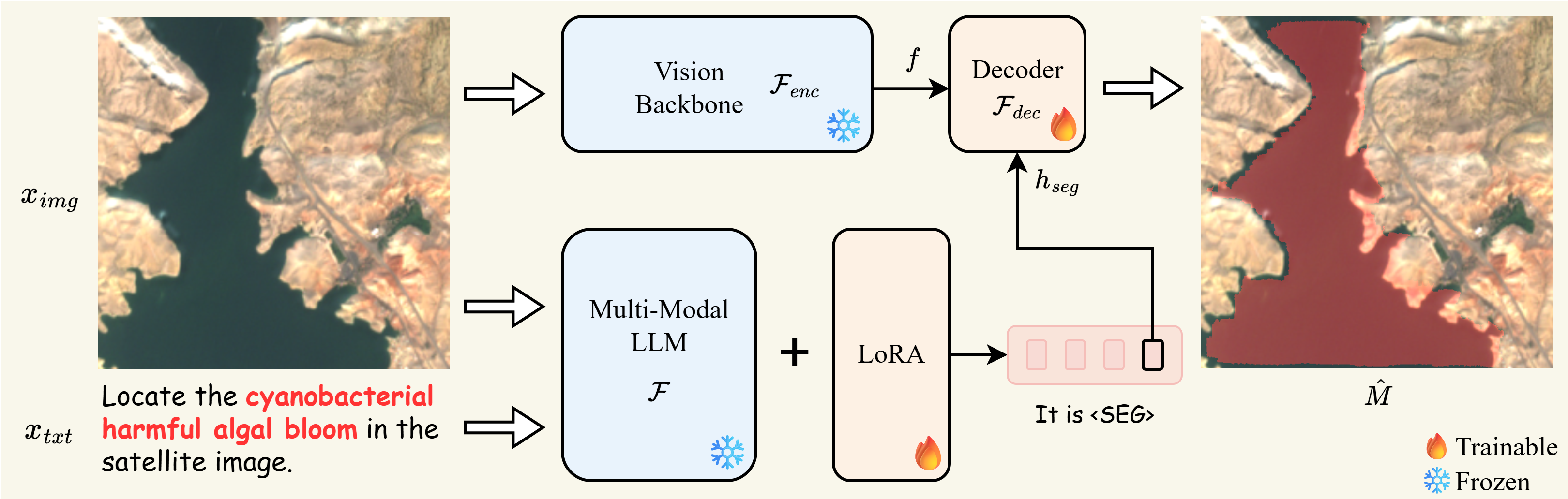Figure 1: ALGOS pipeline showing multimodal LLM with SAM decoder